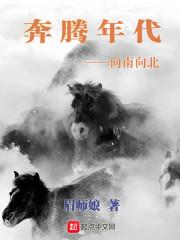 奔騰年代——向南向北