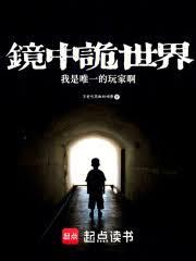 鏡中詭世界，我是唯一的玩家啊