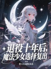 退役十年後，魔法少女選擇復出