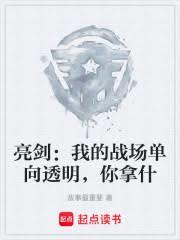 亮劍：我的戰場單向透明