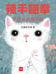 辣手喵拳