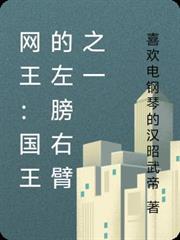 網王：國王的左膀右臂之一
