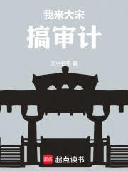 我來大宋搞審計