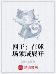 網王：在球場領域展開