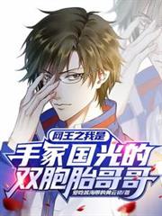 網王之我是手冢國光的雙胞胎哥哥