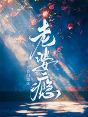 老婆癮
