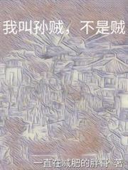 我叫孫賊，不是賊