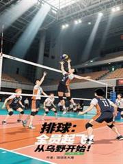 排球：全員起飛，從烏野開始