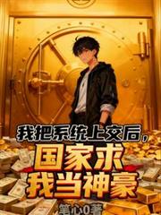 我把系統上交後，國家求我當神豪
