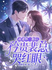 冷婚三年你不愛，二嫁大佬寵上天