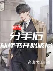 官場：分手後，從秘書開始破局
