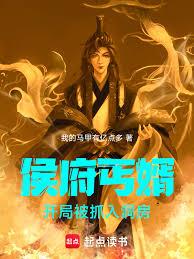 侯府丐婿，開局被抓入洞房