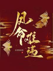 金媛媛的頂配人生