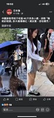 華娛：從和寶島妹子同居開始