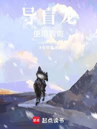 導盲龍使用指南