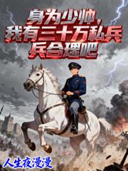 身為少帥，我有三十萬私兵合理吧