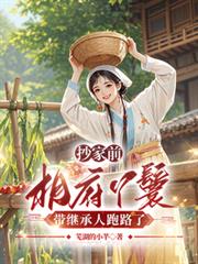抄家前，相府丫鬟帶繼承人跑路了