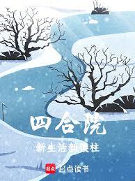 四合院：新生活新傻柱