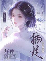 快穿：壞種白蓮花【插足掠奪】