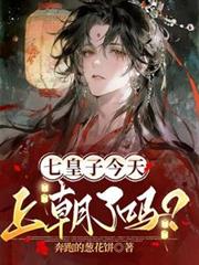 七皇子今天上朝了嗎？