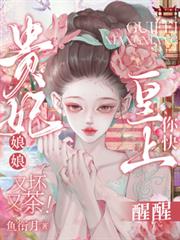 貴妃娘娘又壞又茶！皇上你快醒醒