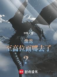 盤龍：規矩我來定，誰反對？