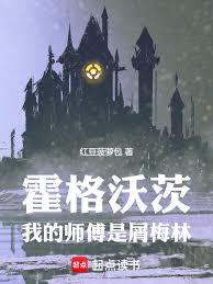 霍格沃茨：我的師傅是屑梅林