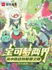 寶可夢兩界：從小飯店到聯盟之巔