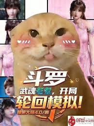 斗羅：武魂耄耋，開局輪迴模擬！
