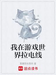 我在遊戲世界拉電線