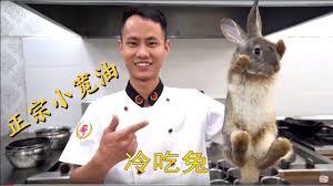 漁獵83，從聽到動物心聲開始
