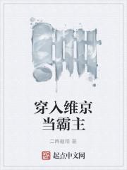 穿入維京當霸主