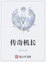 傳奇機長