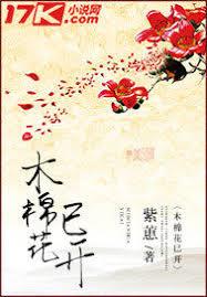 木棉花已開