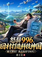 怒辭996，回村打造科技神國