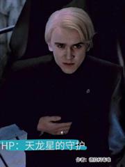 HP：天龍星的守護