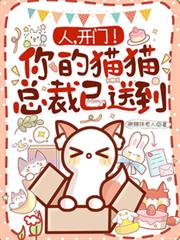 人，開門！你的貓貓總裁已送到