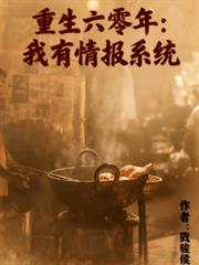 重生六零年，我有情報系統
