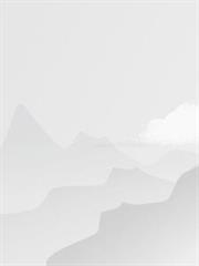 樊小凡的第5本書