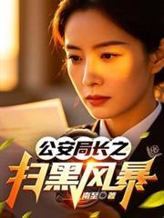 公安局長之掃黑風暴