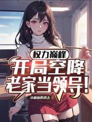 官途之從回鄉當領導開始