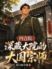 四合院：深藏大院的大國宗師