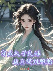 穿成太子良娣，我喜提雙胞胎