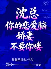 沈總，你的戀愛腦嬌妻不要你嘍