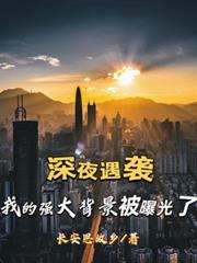深夜遇襲，我的強大背景被曝光了