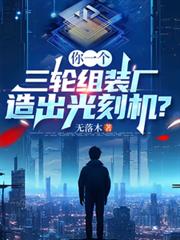 你一個三輪組裝廠，造出光刻機？