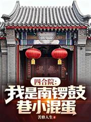 四合院：我是南鑼鼓巷小混蛋