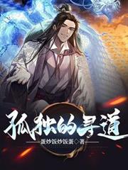 孤獨的尋道