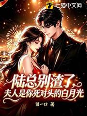 陸總別渣了，夫人是你死對頭的白月光