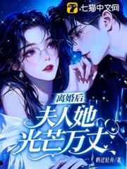 離婚後，夫人她光芒萬丈
